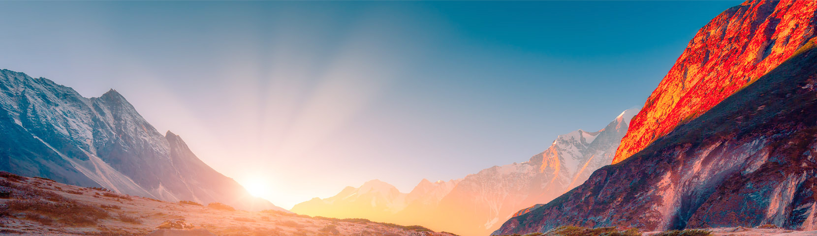 ������������